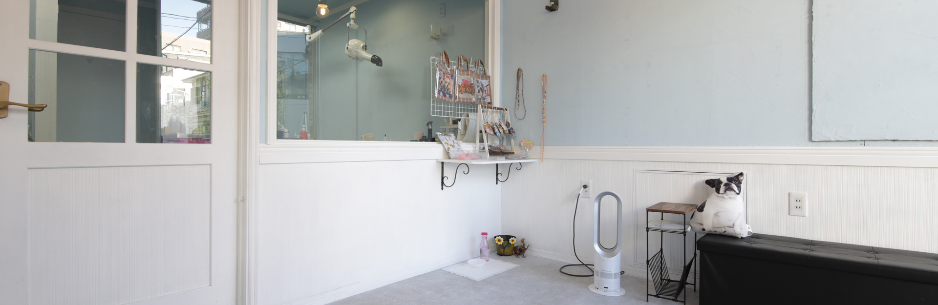 大切なワンちゃんを、責任を持ってお預かりします