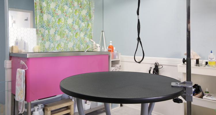 ワンちゃんのことを第一に考えたドッグサロン